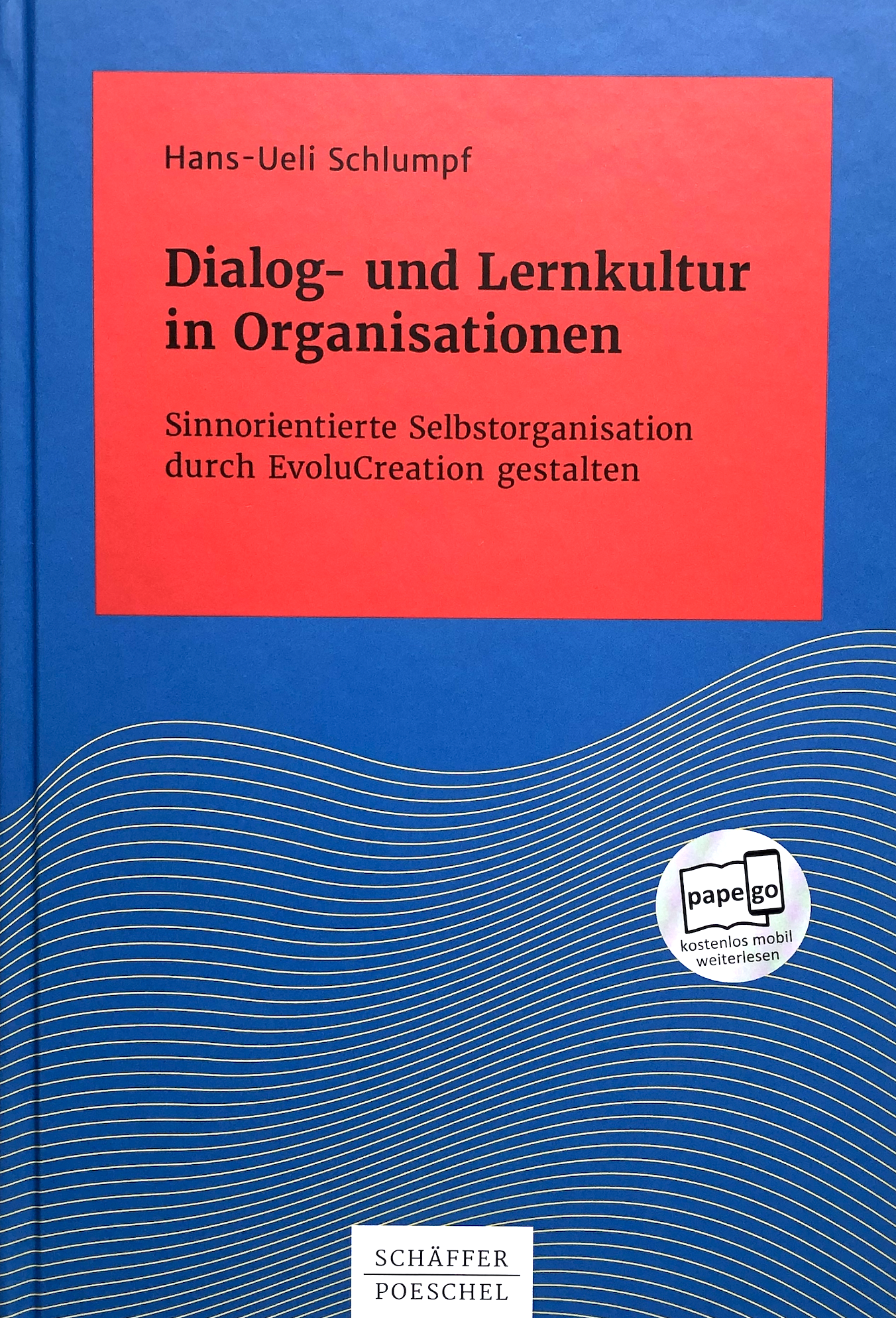 Dialog- und Lernkultur in Organisationen_frontal.png